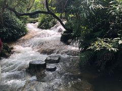 -小七孔景区东门售票处