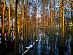 -星湖旅游景区七星岩