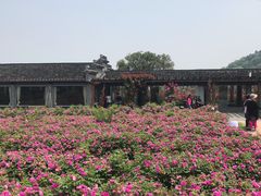 -龙寺生态园