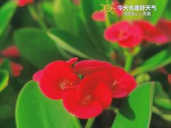 -清源山美食·云顶文化创意园