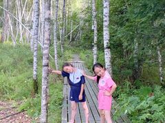 -五营红松林海景区