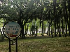 -三水森林公园