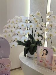 -美丽田园