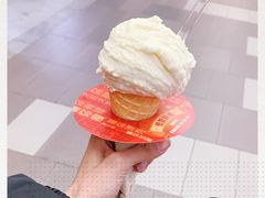 -野人先生现做冰淇淋(西安赛格店)