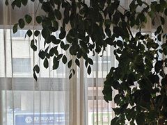-洛阳宴·洛阳菜(南昌路店)