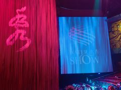 -水秀国际大剧院