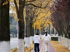 -成都中医药大学(温江校区)