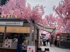 -首开·龙湖成都西宸天街