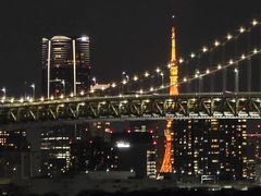 -台场海滨公园船码头