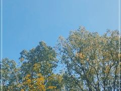 -良渚古城遗址公园