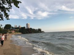 -卷心菜和避孕套餐厅(Pattaya)
