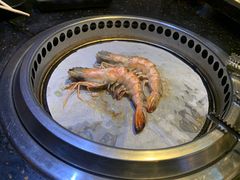 -熊出没日本烧肉放题
