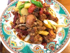 -巴依老爷新疆美食(望京小街店)