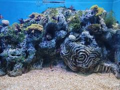 -大连老虎滩海洋公园