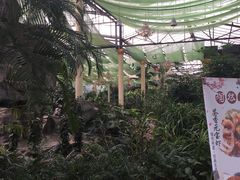 -陶然居·重庆菜(生态园店)