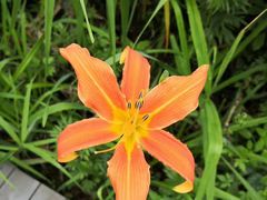 -洛阳白云山景区