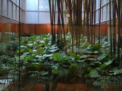-新加坡丽思卡尔顿美年酒店