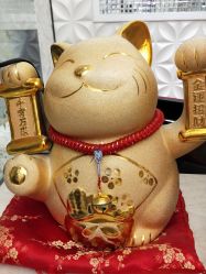 点击看大图 -Cocodemer女性健康·产后恢复(天一广场店)