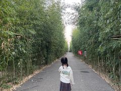 -武汉紫薇都市田园