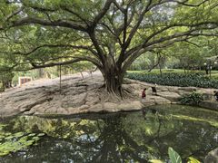 -晓港公园