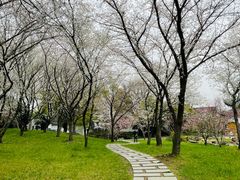-苏州上方山国家森林公园
