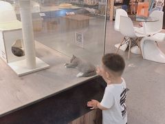 -宠物世家(仲盛世界商城店)