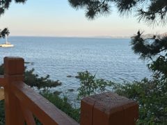 -养马岛旅游度假区