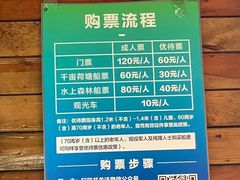 -池杉湖湿地公园