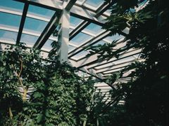 -昆明植物园