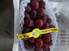 -马陆小张葡萄园农家乐