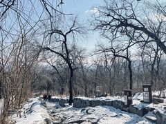 -阳台山自然风景区