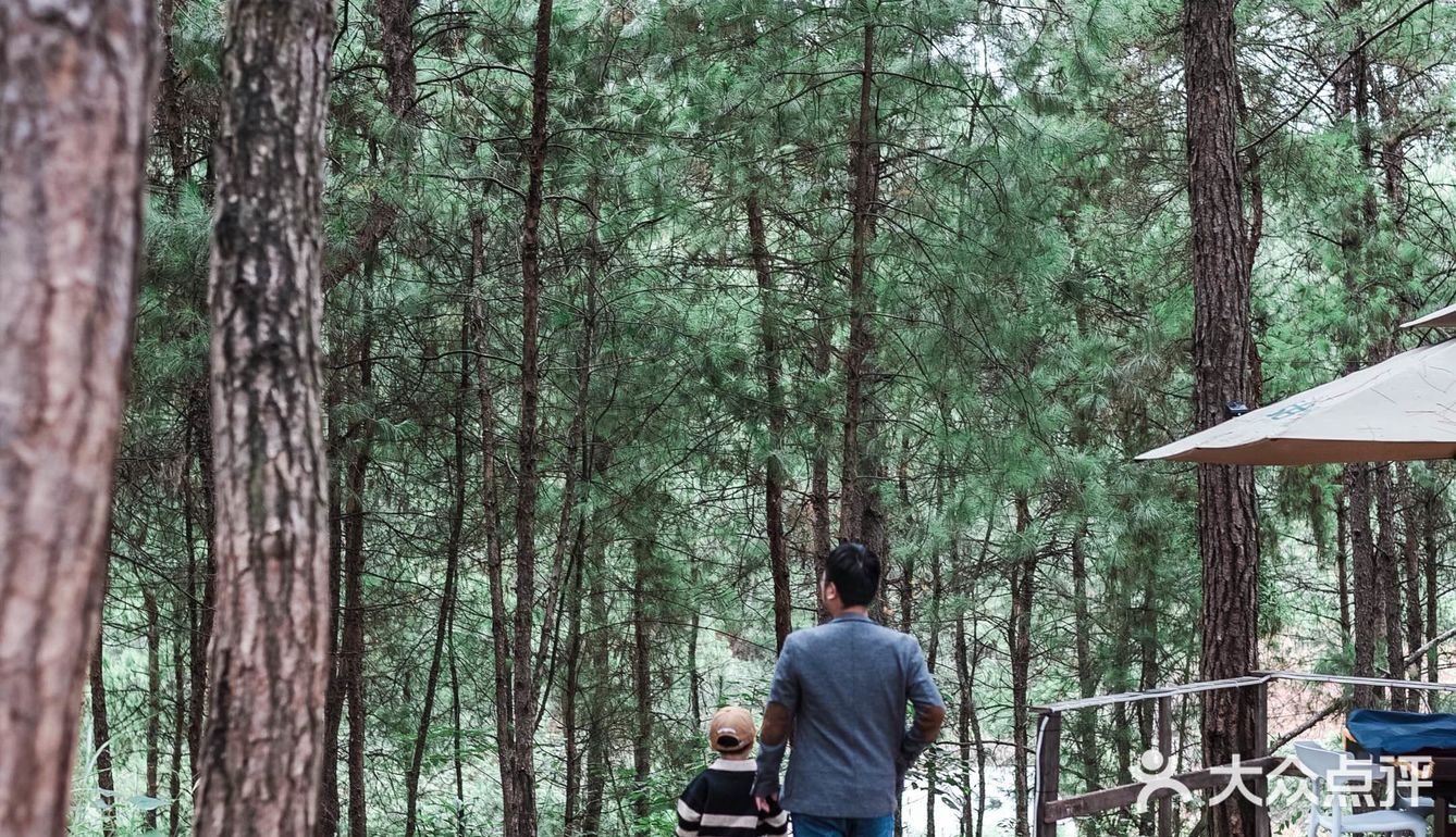 主城小众遛娃农场&松林烧烤&露营⛺️&捉鸡磨豆浆喂兔子🐰