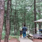 主城小众遛娃农场&松林烧烤&露营⛺️&捉鸡磨豆浆喂兔子🐰