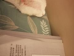 -谢蟹浓·肉蟹煲(新奥店)