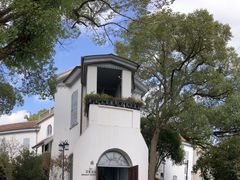 -上海佘山国家森林公园西佘山园