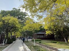 -南翠屏公园