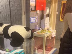 -好玩工厂密室·鹅鸭杀·桌游拼豆电玩