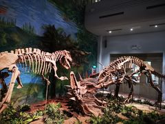 -自贡恐龙博物馆