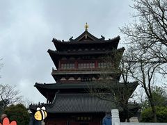 -伯先公园