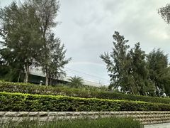 -宝安西湾红树林湿地公园