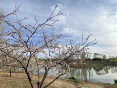 -东郊湿地公园