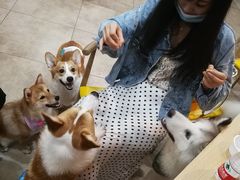 -汪说·狗咖(旺城大厦店)