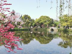 -无锡蠡湖国家湿地公园-蠡园