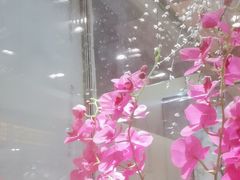 -状元阁烧烤(新华路总店)