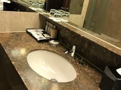 -新加坡瑞士史丹福酒店