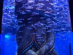 -波塞冬旅游度假区