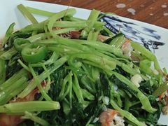 -富来美食