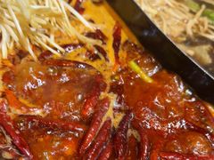 -蜀大侠火锅(建设路第五大道店)