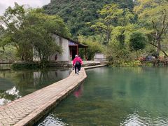 -靖西鹅泉风景区