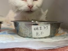 -北京派仕佳德动物医院·超导核磁·CT·神经科·骨科·内外科·急重症管理中心